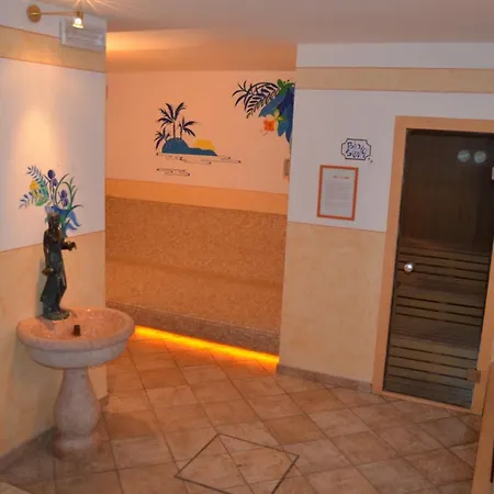 Hotel Ladina 3*